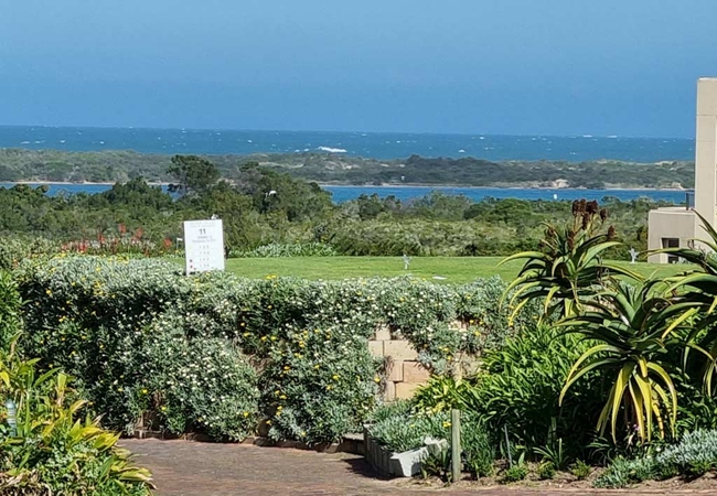 The Estate lagoon view