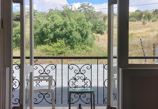 Safari Bushveld View