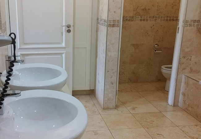 Safari Bushveld View