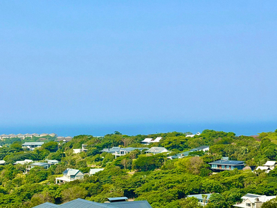 161 Ballito Hills
