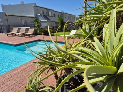 207 De Waterkant Piazza