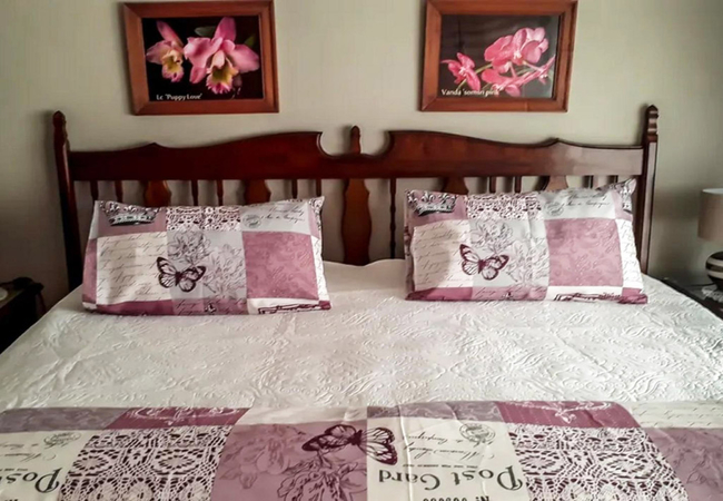 Orchid Family Suite 