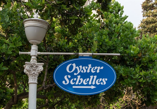 302 Oyster Schelles