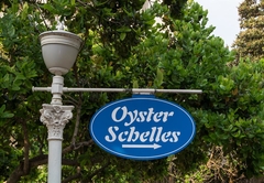 302 Oyster Schelles