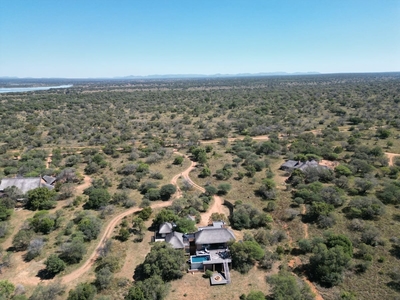 31 Bushwillow
