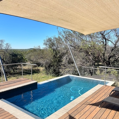 31 Bushwillow