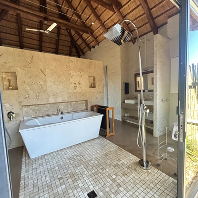 31 Bushwillow
