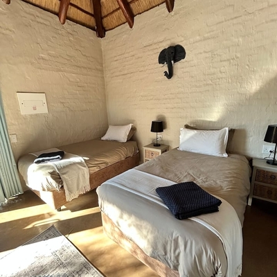 31 Bushwillow