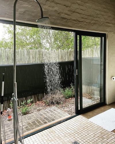 31 Bushwillow