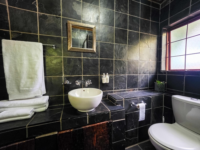 Deluxe Twin / Double Room