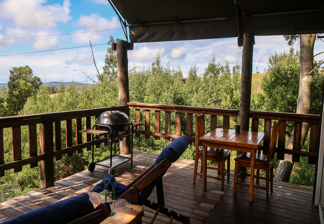 Double Tented Treehouse