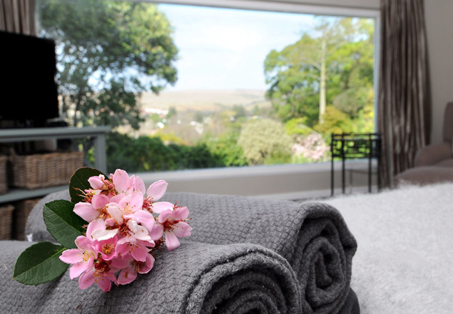 Upstairs Luxury Suite with View