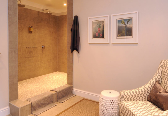 Downstairs Luxury Room with Shower Only 