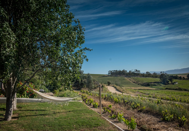 AA Badenhorst Family Wines