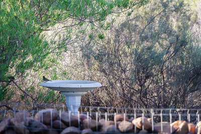 Exclusive Use Holiday Home