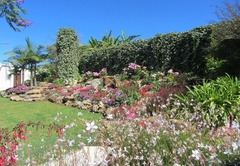 Large Garden