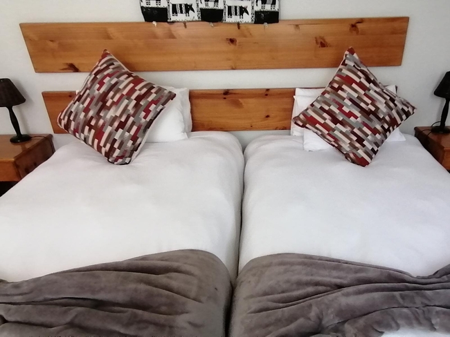 Room 1 - King or Twin Room