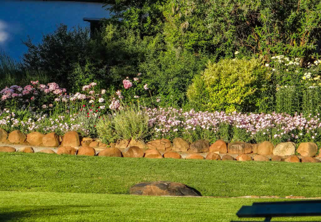 Abbotsbury Guest Farm