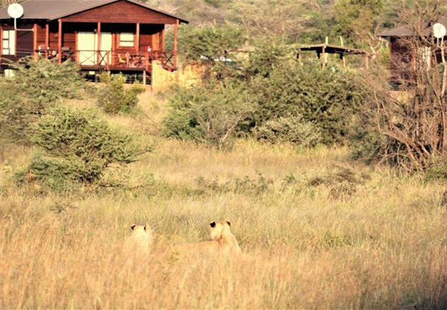 Abendruhe Lodge