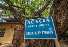 Acacia Guesthouse