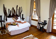 Luxury Queen Room - Zebra Lodge