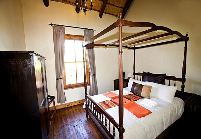 Standard Queen Room - Giraffe Lodge