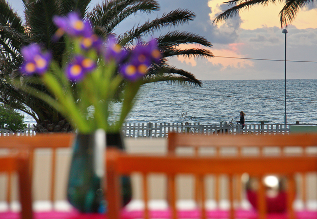 Adenium Beachfront Apartment