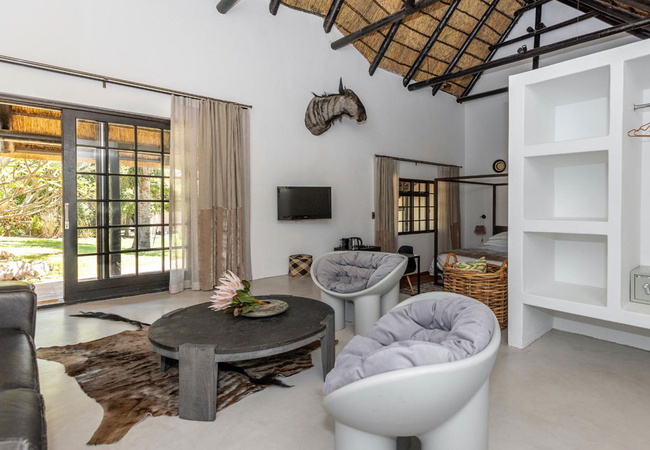 Luxury Studio Wildebeest 