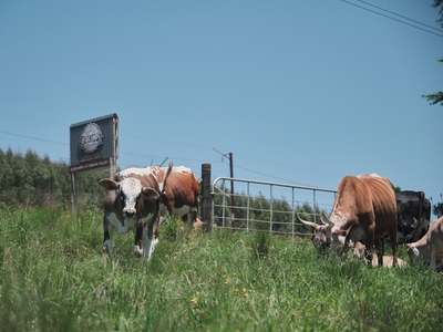 AfriCamps at Gowan Valley