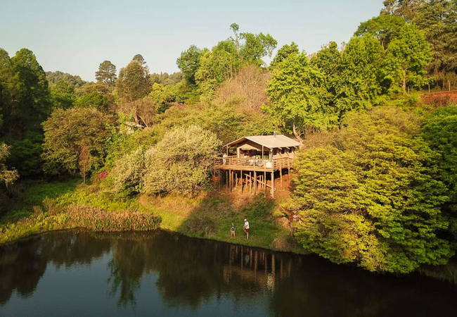 magoebaskloof canopy tours activities