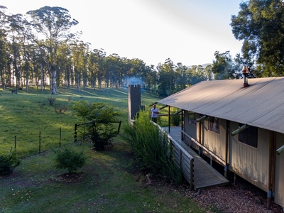 AfriCamps at Oakhurst