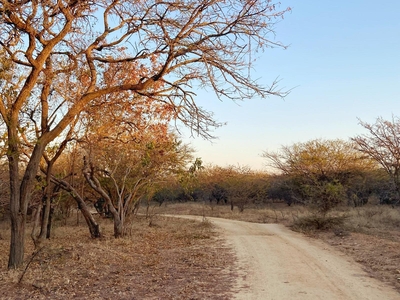 AfriCamps at Hoedspruit
