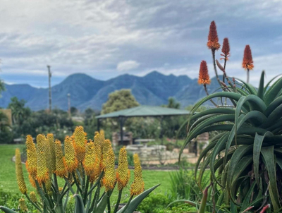 African Sun Guest House