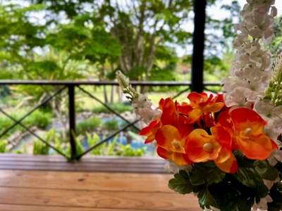 African Sun Guest House