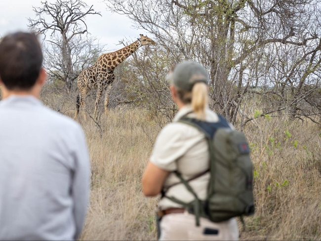 Africa on Foot