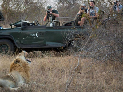 Africa on Foot