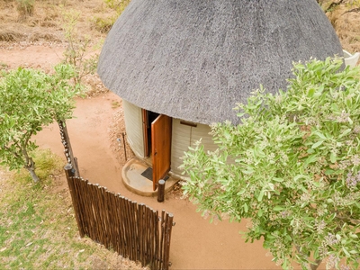 Africa on Foot