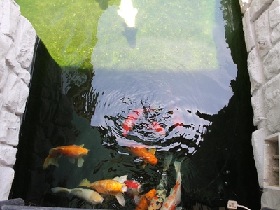 Africa Paradise OR Tambo Boutique Hotel