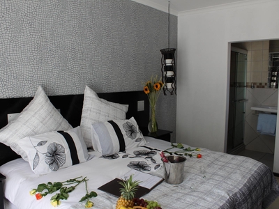 Africa Paradise OR Tambo Boutique Hotel
