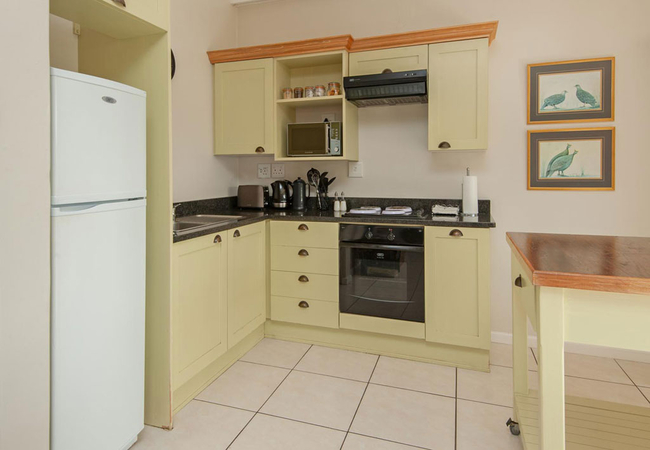 Agapanthus @ High Season