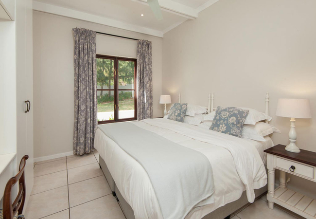 Agapanthus @ High Season