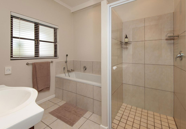 Agapanthus @ High Season