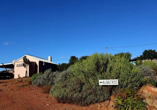 Albatross Cottage