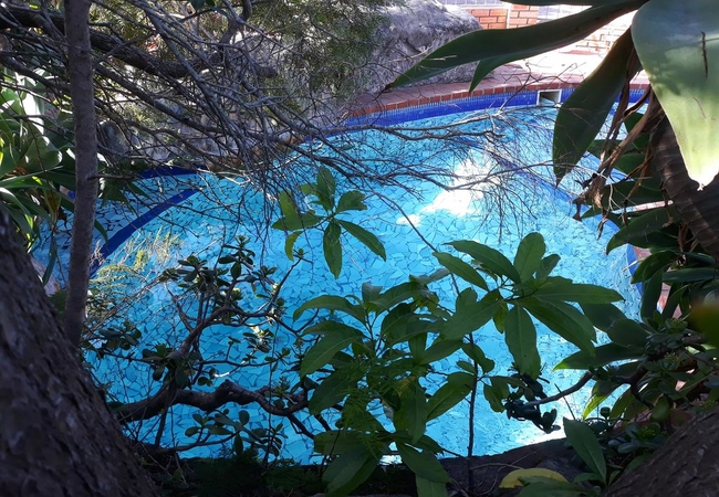Albert Road Garden Guesthouse