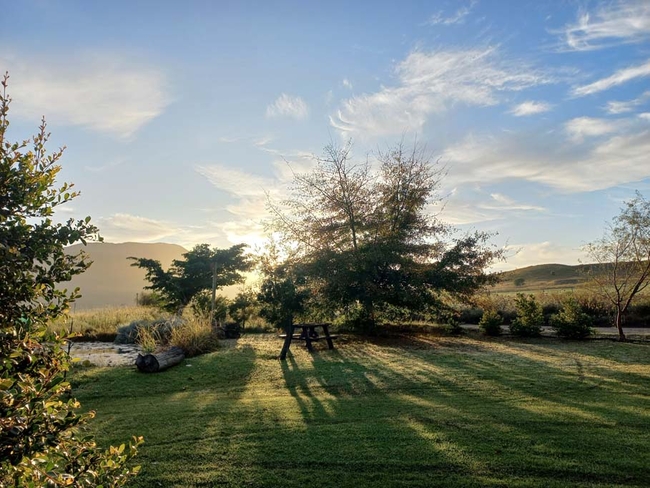 Activities 500m away