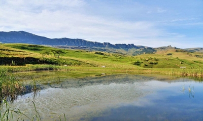 Alpine Heath Resort