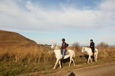 Alpine Heath Resort
