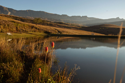 Alpine Heath Resort