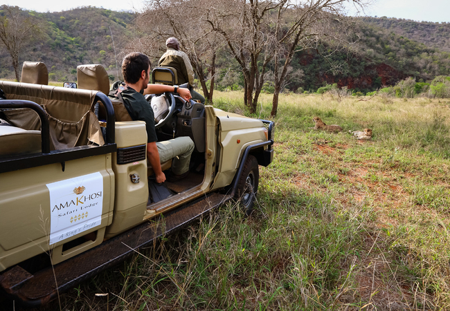 On a Game Drive at AmaKhosi Safari Lodge