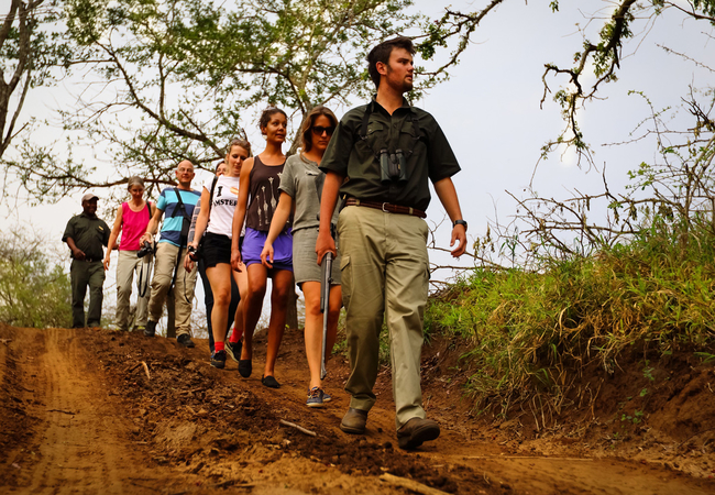 A guided game walk at AmaKhosi Safari Lodge